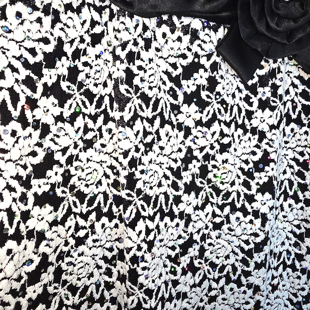 49) R&M RICHARDS Lace Dress Sz. 8 - Picture 5 of 10